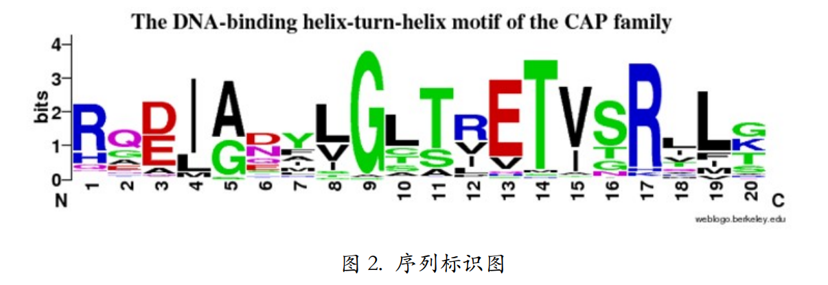 1,多序列比对的定义和用途