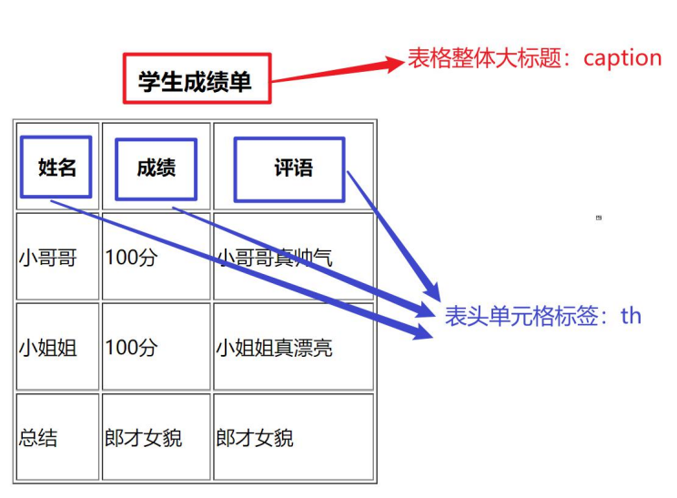 表格相关标签和属性