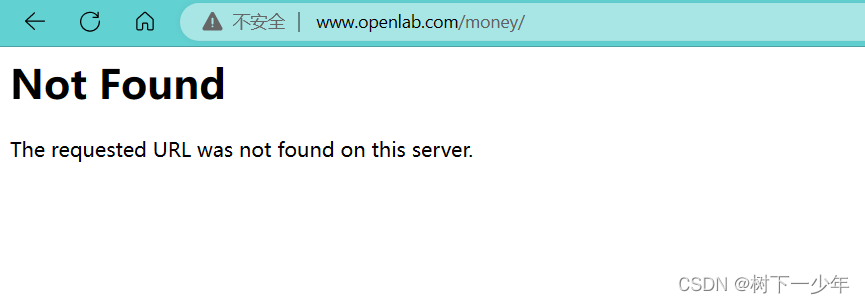Linux搭建web网站服务练习，基于IP/端口/域名访问网站，搭建虚拟用户控制的网站，配置https加密访问