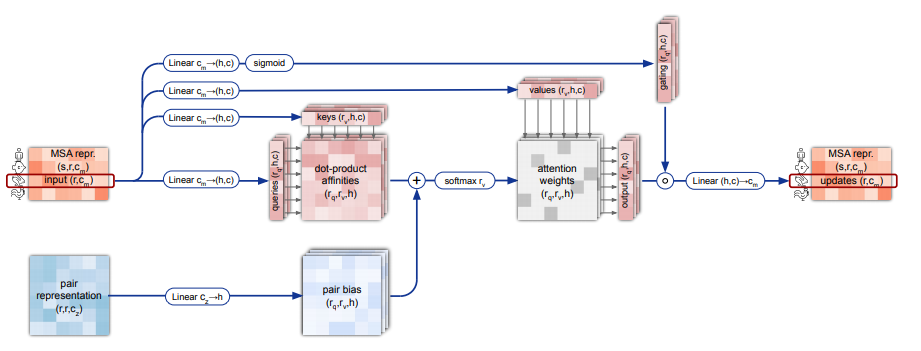 MSA row-wise gated self-attention with pair bias.