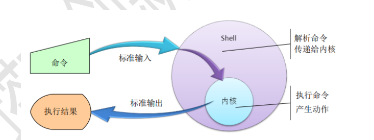 shellṹ