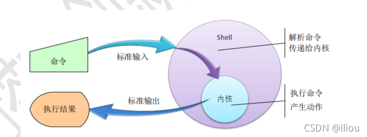 shell结构