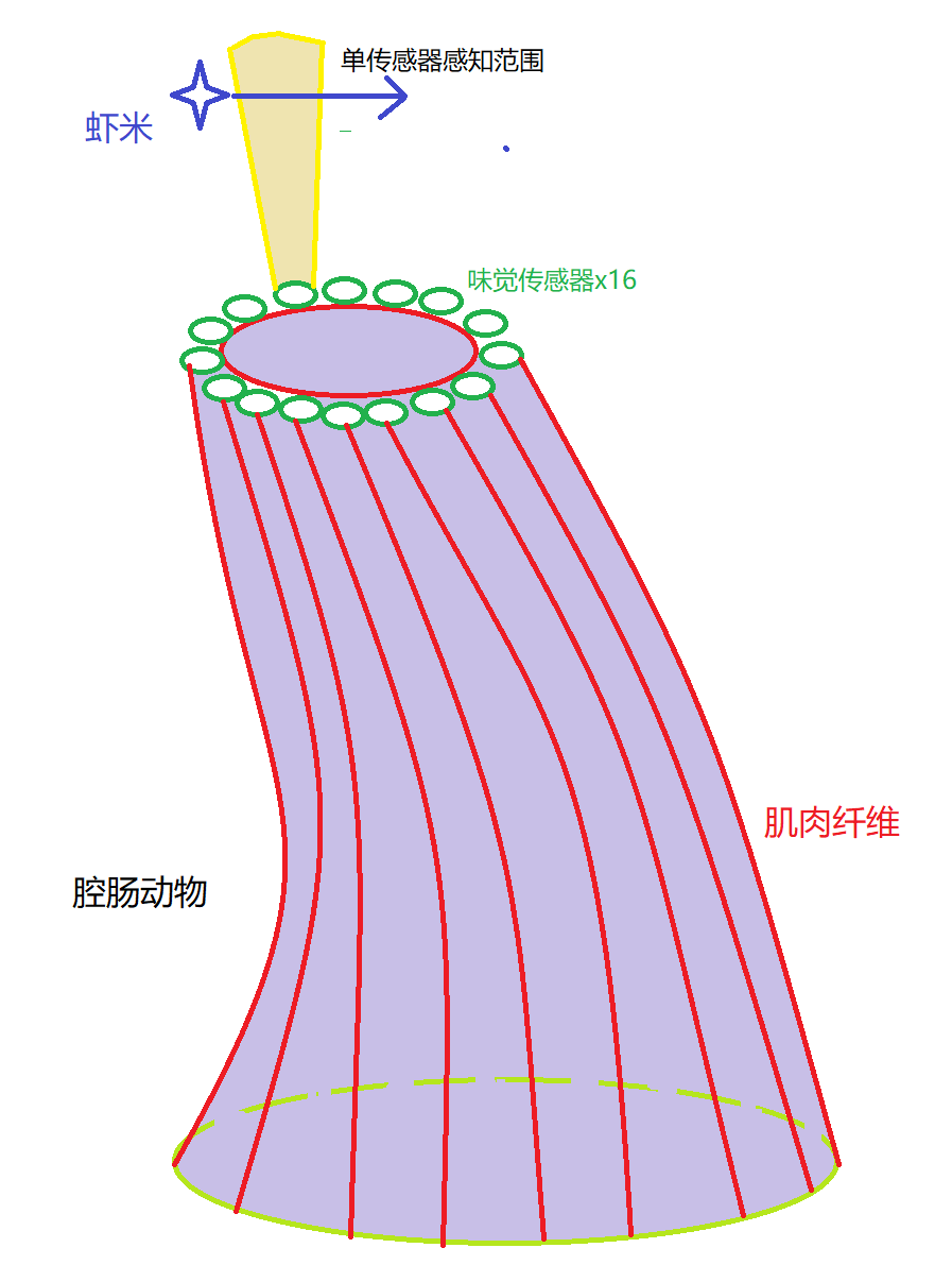 QCDW