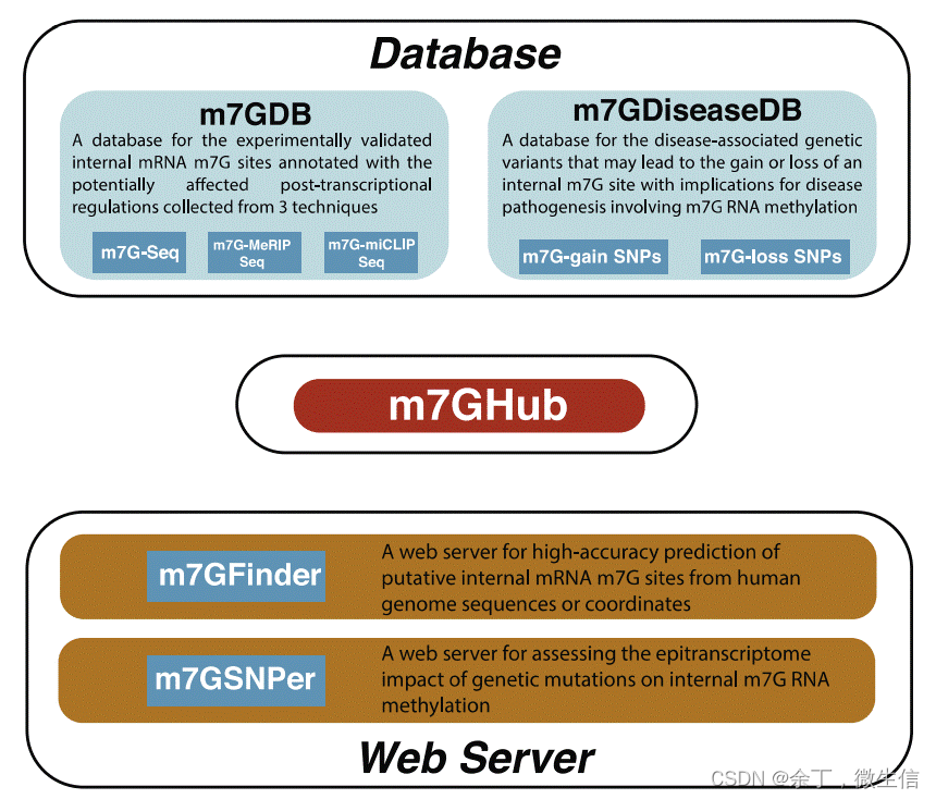 利用m7Ghub数据库查询并使用iRNA-m7G软件预测RNA m7G修饰位点-CSDN博客