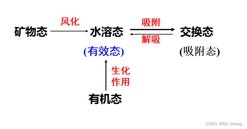 第二章 土壤中养分的有效性_生物有效性和植物根系附近的根际效应-CSDN博客