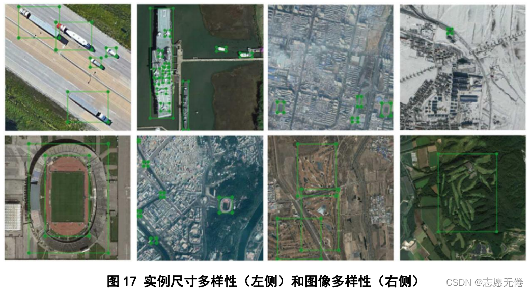 图17 实例尺寸多样性（左侧）和图像多样性（右侧）