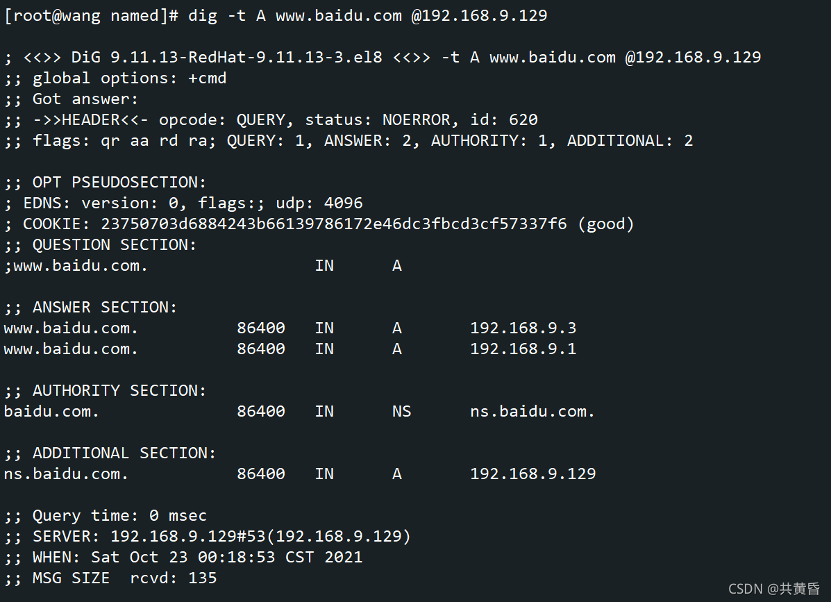 DNS1-正向解析