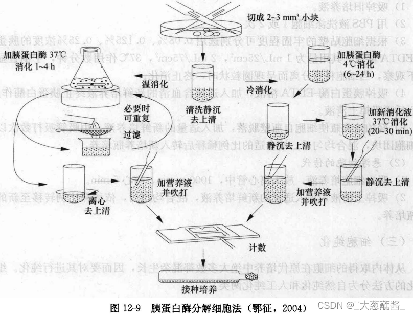 原生质体培养图片