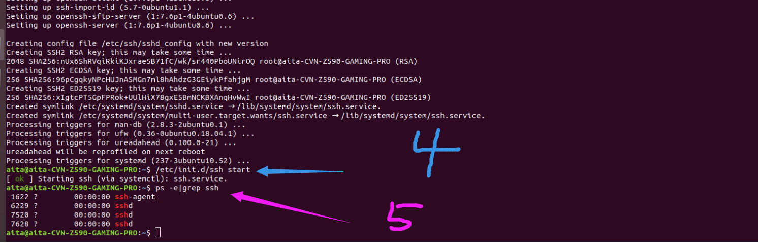 Unit Sshd service Could Not Be Found English ONly CSDN 