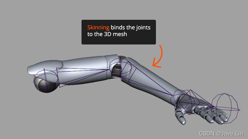 3dplus Rigging Key 3D Rigging Terms to Get You Moving - 关于 3D Rigging 的一些术语_rigging动画 ...