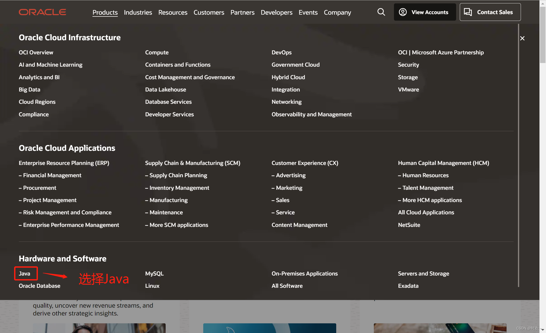 Java的背景知识以及JDK的安装_请说明 java 是哪一年在哪家公司所诞生的, 如果现在要下载 jdk , 到哪个官网进行-CSDN博客