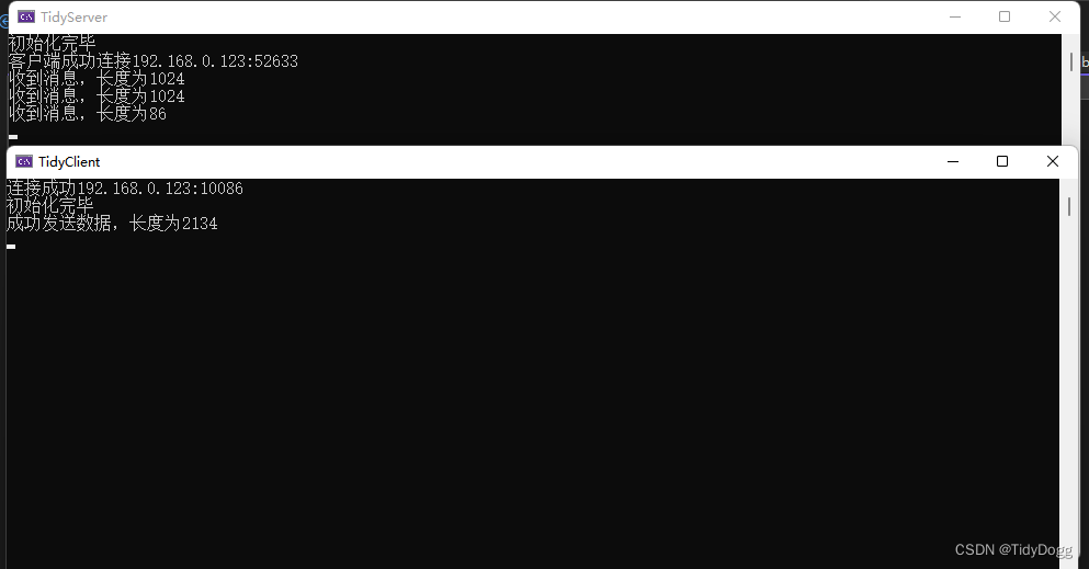 C,Socket,TCP_c socket tcp_TidyDogg的博客CSDN博客