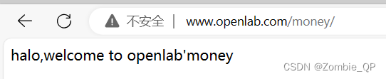 Web服务Openlab的搭建