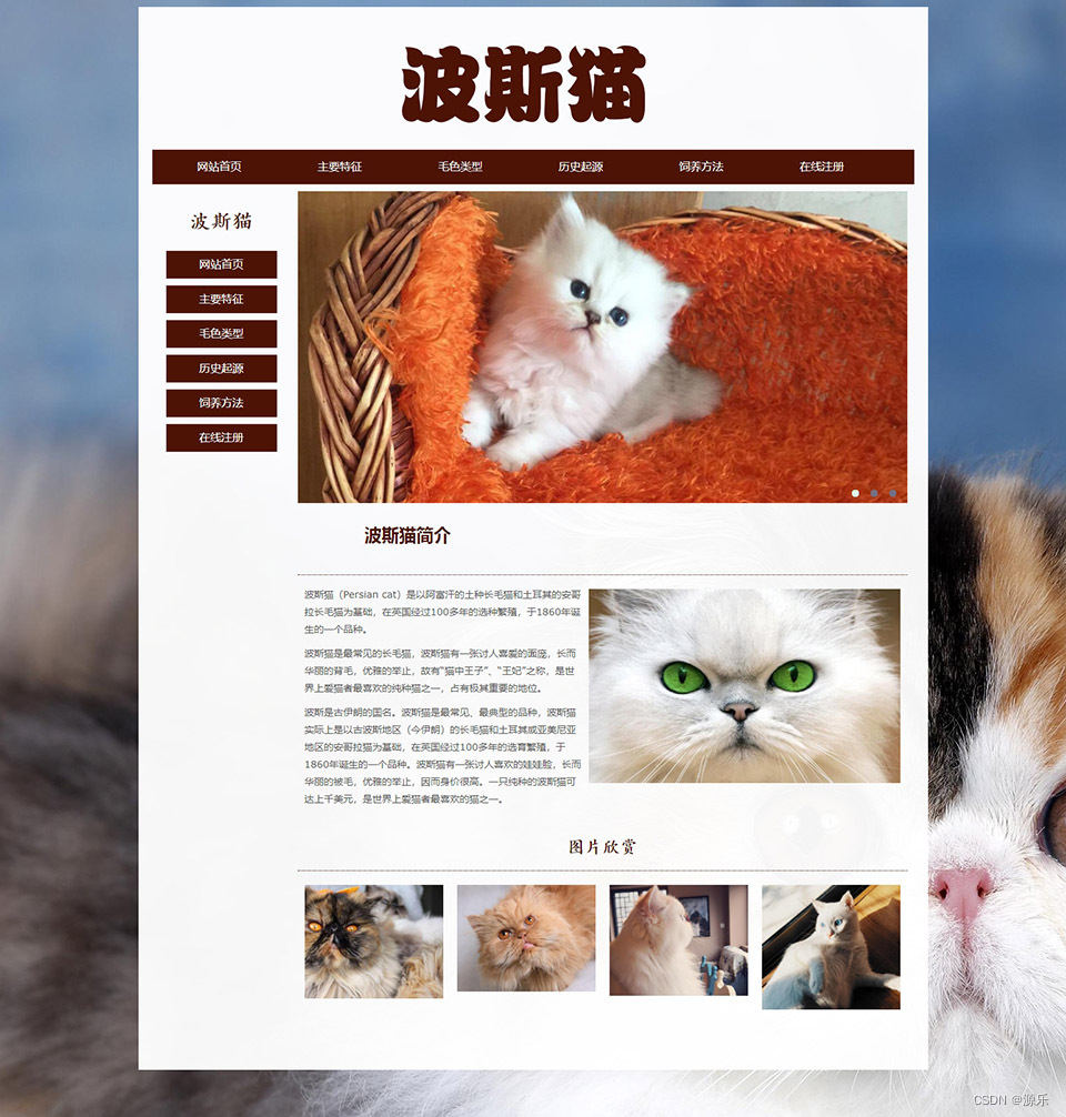 波斯猫 6页面 宠物动物 长毛猫 HTML5 带背景音乐 JS图片轮播特效 滚动文字 鼠标经过图片 JS时间代码