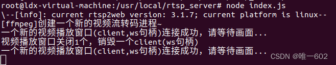 rtsp2web后台打印