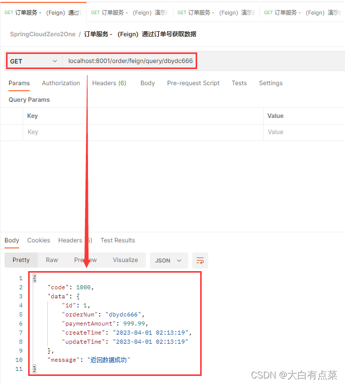 使用 Postman 进行测试，GET 方式提交，接口为：localhost:8001/order/feign/query/dbydc666 。