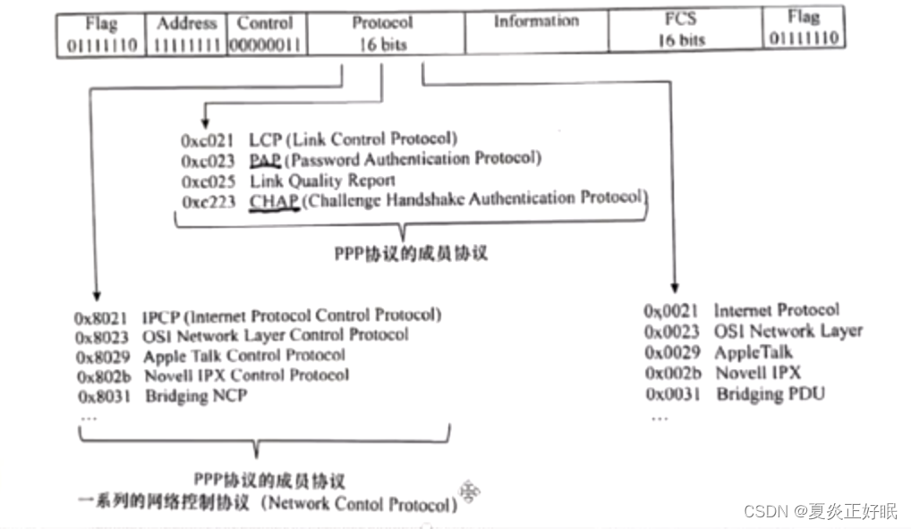 网络类型及数据链路层的协议