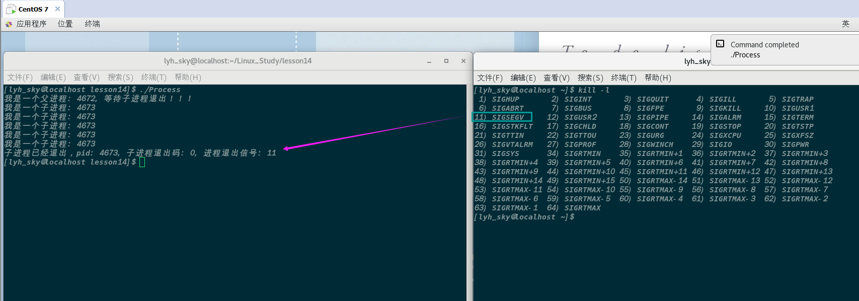 【Linux】进程控制