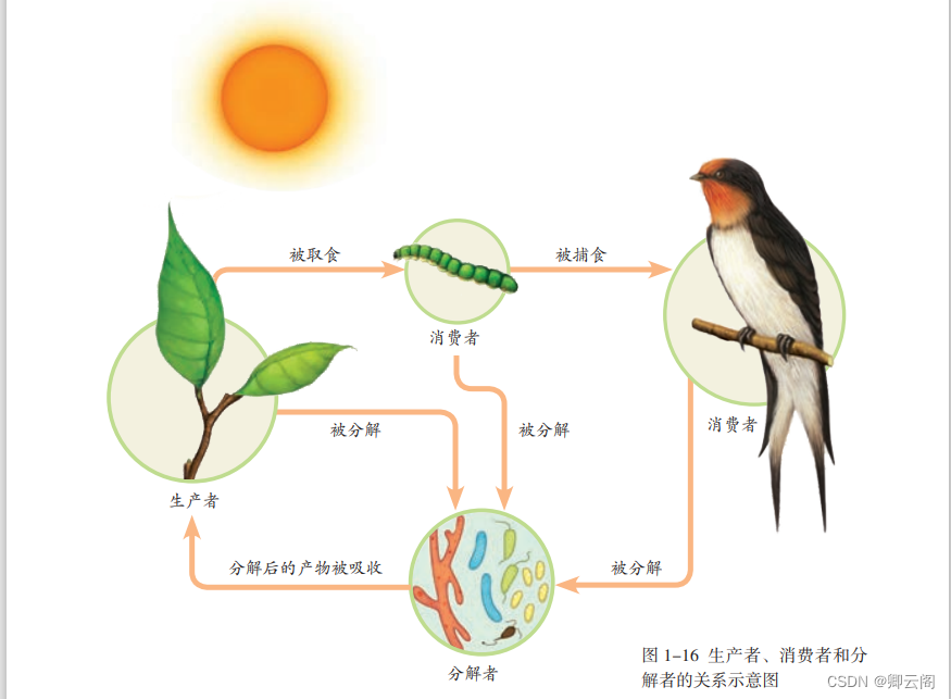 第1章 生物和生物圈