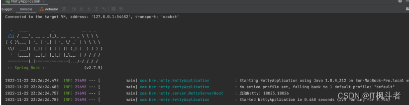 Springboot整合Netty，自定义协议实现