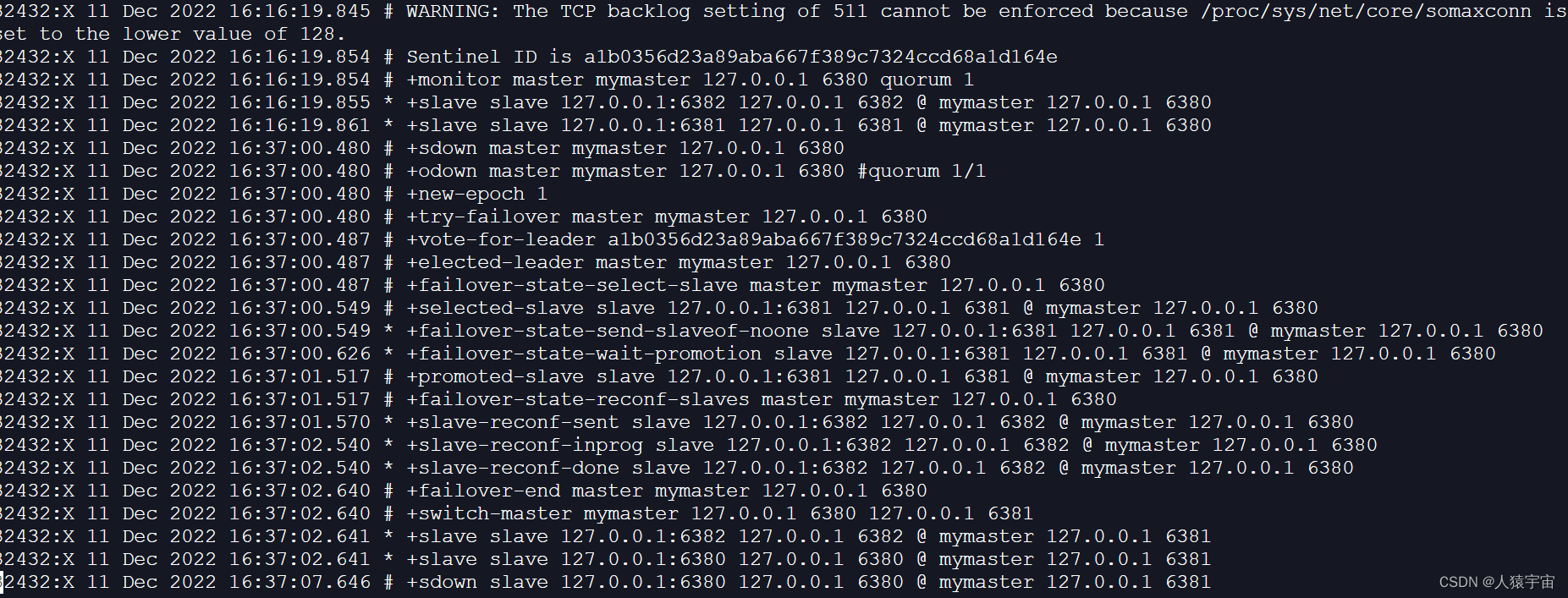 大数据-玩转数据-Linux部署redis集群