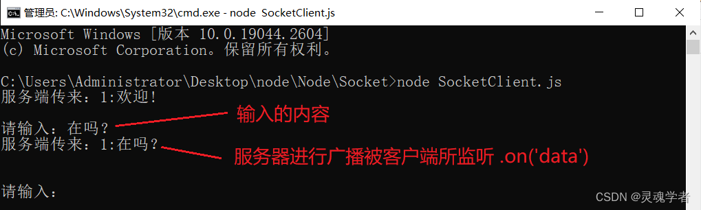 Node实现 Socket 通信