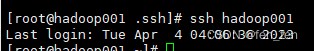 Centos7安装Hadoop3.3.1(单机版本)