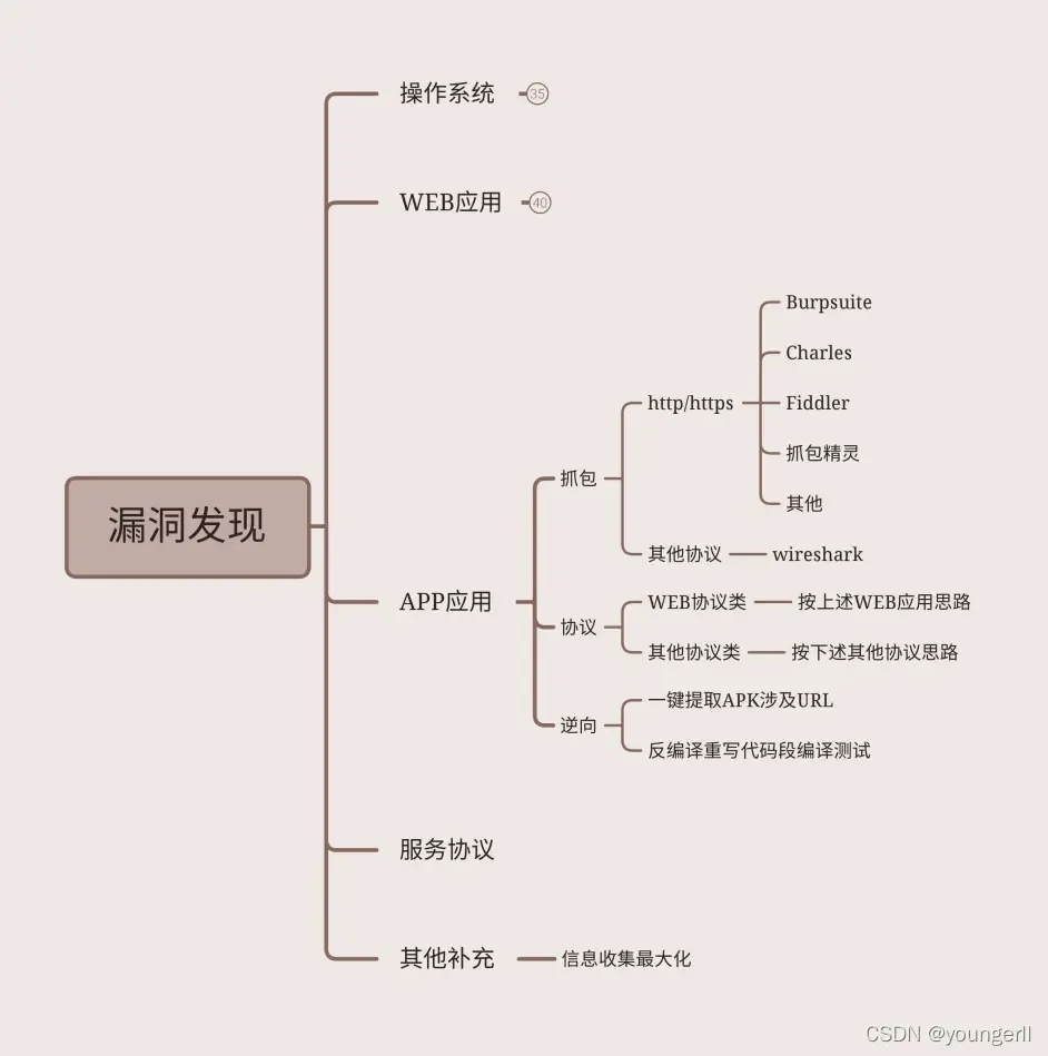 漏洞发现