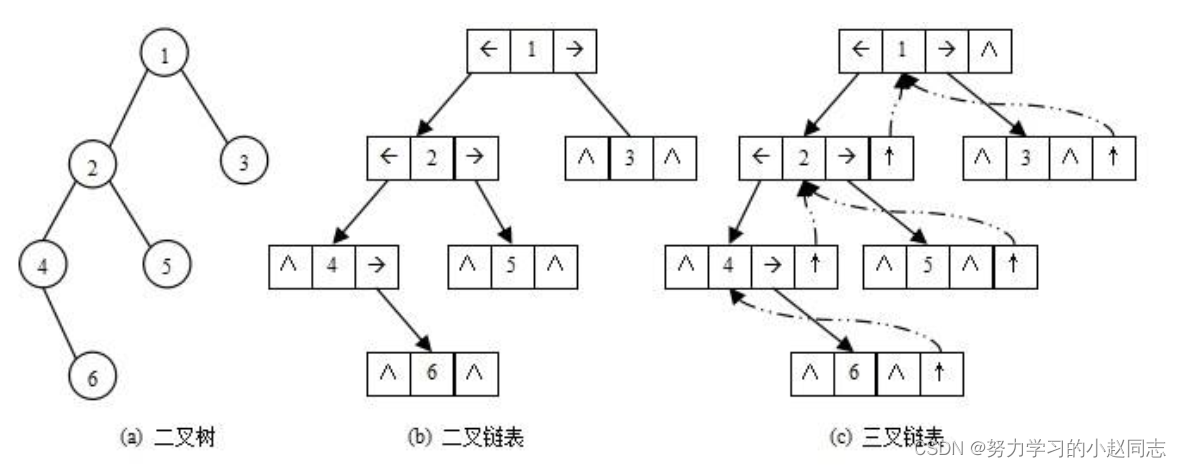 详解—数据结构《树和二叉树》