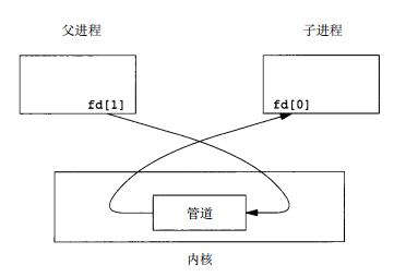 从父进程到子进程