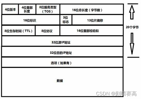 IP 协议的相关特性（部分）