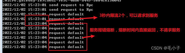 基于go-micro微服务的实战-Gateway网关层的限流降级(八)