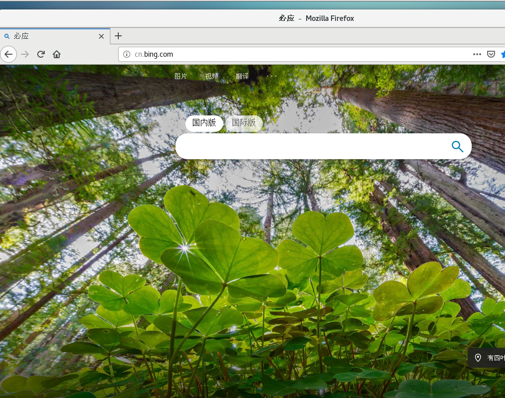 linux connect: 网络不可达、没有ip解决方法