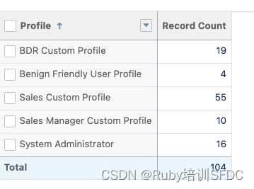 Salesforce Admin管理员中文学习教程_如何高效筛选出具有Admin权限的用户！