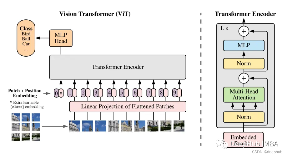 使用JAX实现完整的Vision Transformer