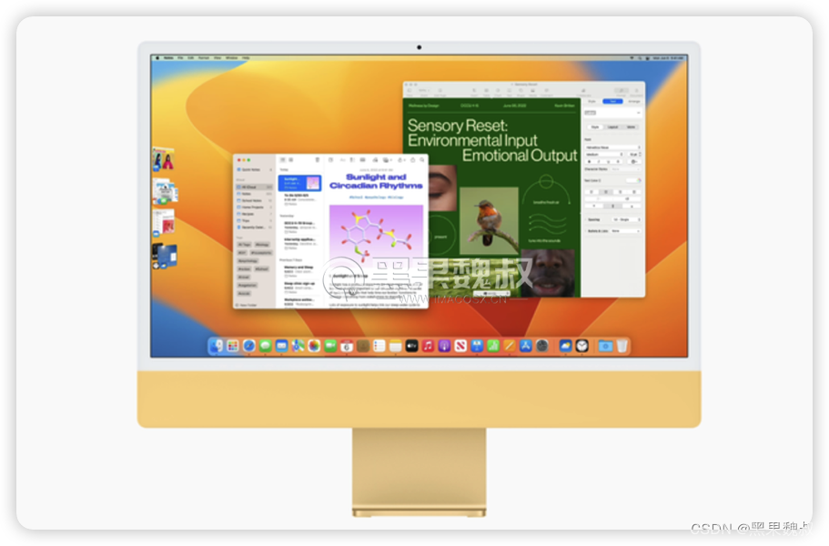 macOS 13.3.1 （22E261）黑苹果恢复版镜像