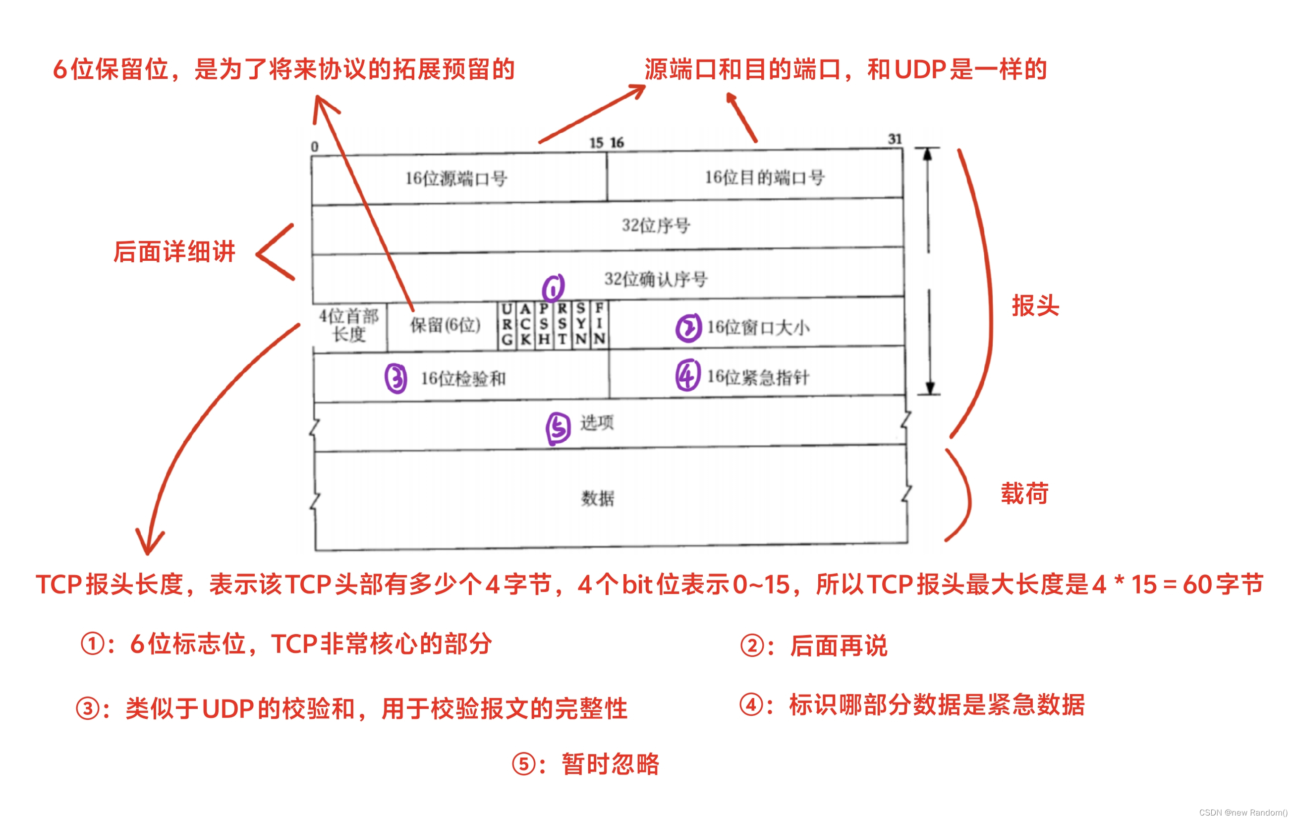 【<span style='color:red;'>网络</span>原理】<span style='color:red;'>TCP</span><span style='color:red;'>协议</span><span style='color:red;'>的</span>相关机制（确认<span style='color:red;'>应答</span>、超时<span style='color:red;'>重</span>传）