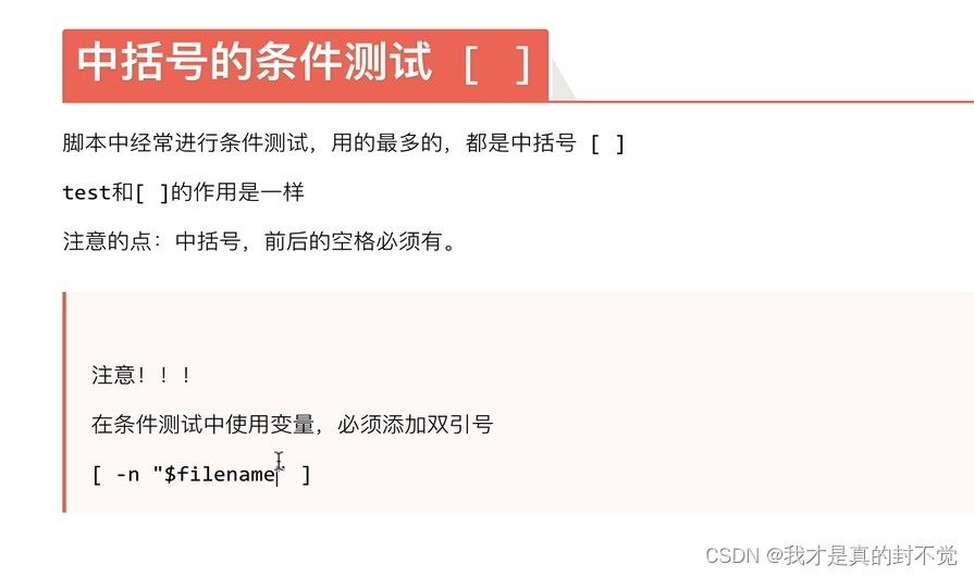 Shell最全笔记 就决定用你了