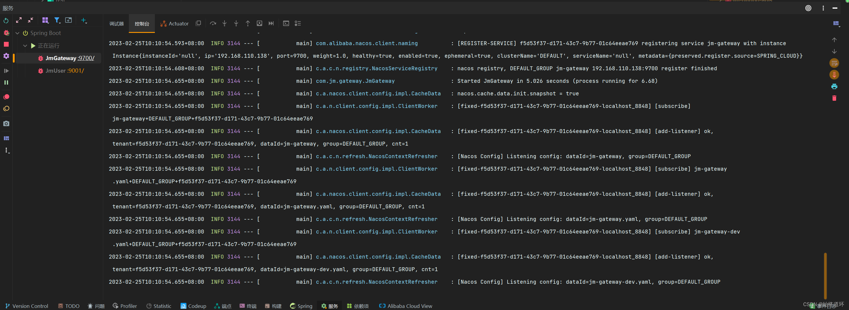 spring boot3 一、 spring alibaba cloud 整合 网关 nacos config