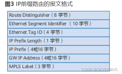 二、VXLAN BGP EVPN基本原理