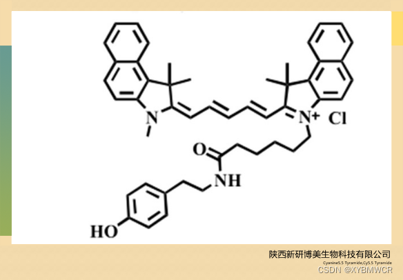 Cy5.5 Tyramide，Cyanine5.5 Tyramide，花青素Cy5.5 酪酰胺化学试剂供应