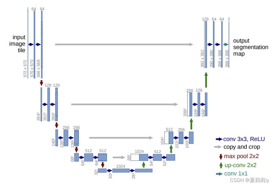 [论文精读]U-Net: Convolutional Networks for BiomedicalImage Segmentation