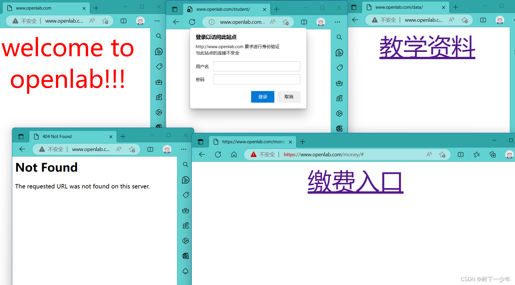 Linux搭建web网站服务练习，基于IP/端口/域名访问网站，搭建虚拟用户控制的网站，配置https加密访问