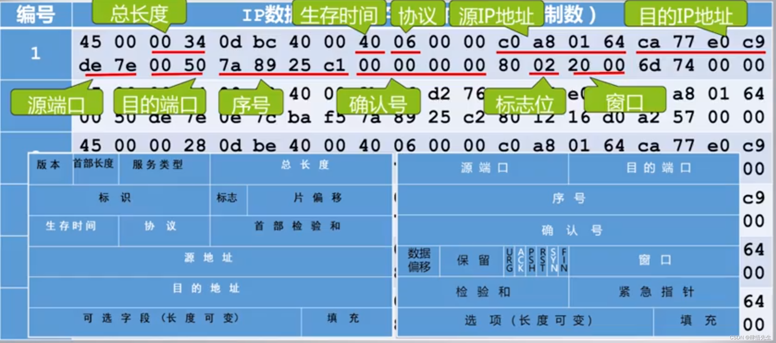 5.8.10 TCP协议