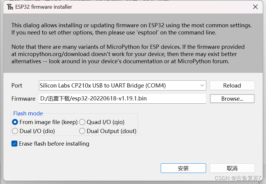 ESP32 Installation Guide