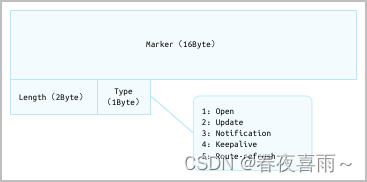 BGP Header