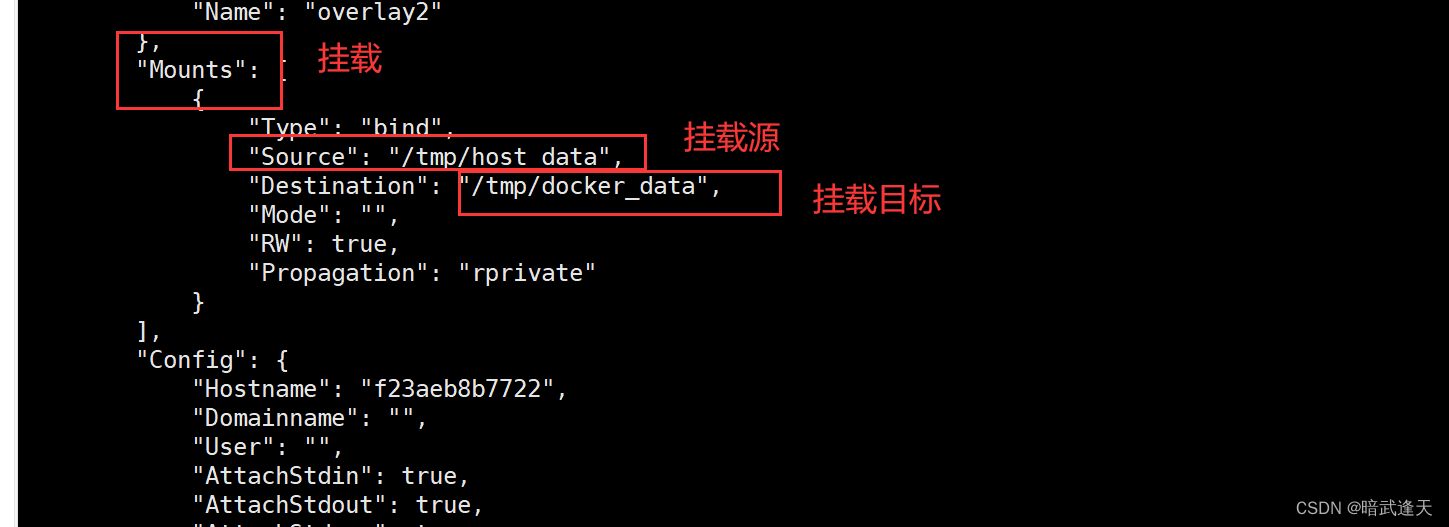 Docker超详细基础使用(带图)