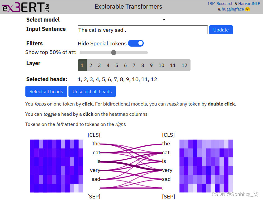 【Transformers】第 11 章：注意力可视化和实验跟踪