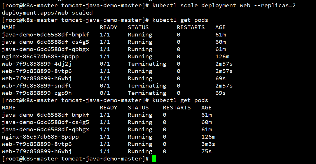 Kubernetes集群的基础操作