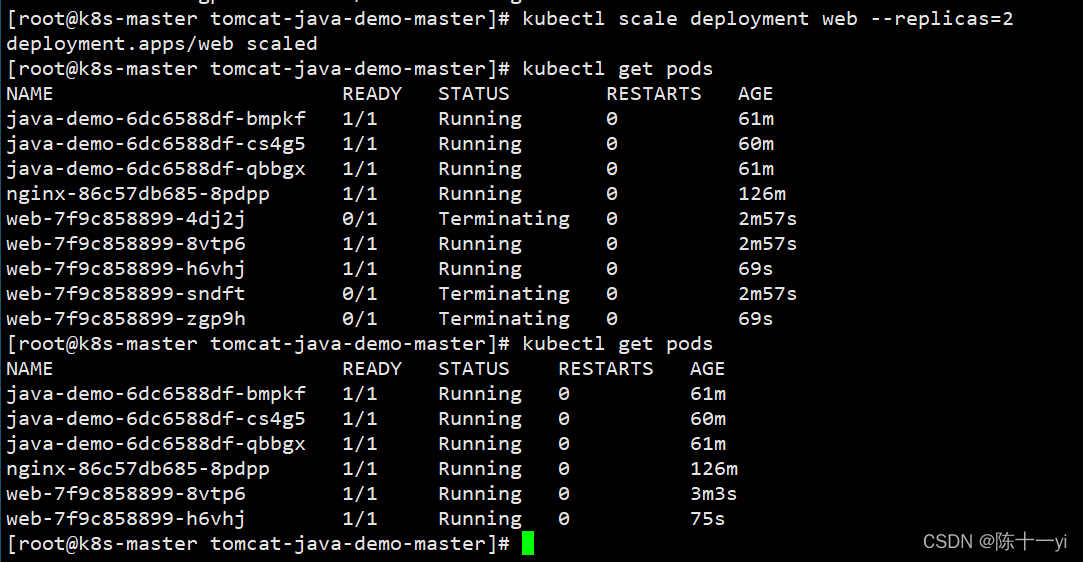 Kubernetes集群的基础操作